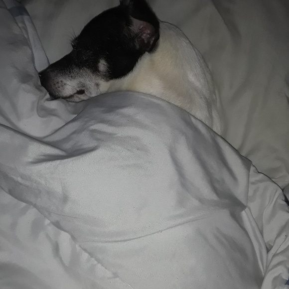 Meet your Posher, Steven - Picture 1 of 1